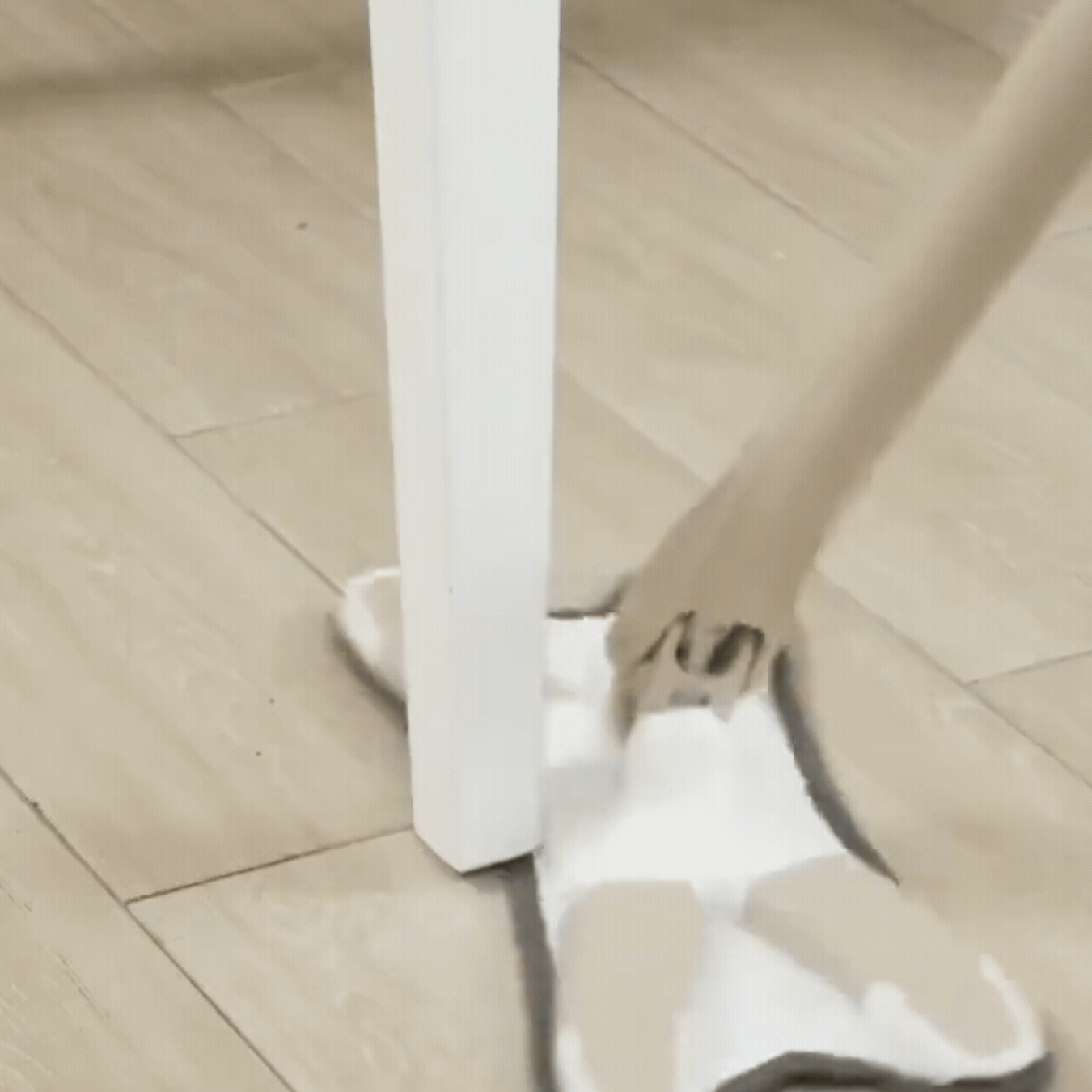 Mopa 360 Con Exprimidor Magico Forma X