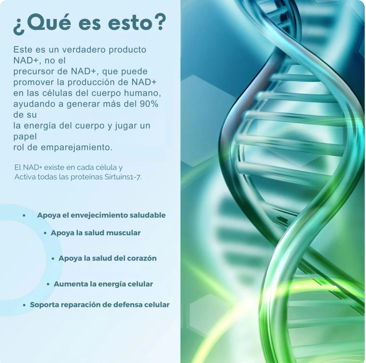 NAD + RESVERATROL 1500 MG 60 CAPSULAS