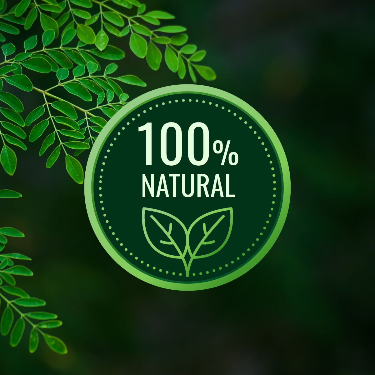 Moringa Ancestral 100 cápsulas 🥬 ⚕️
