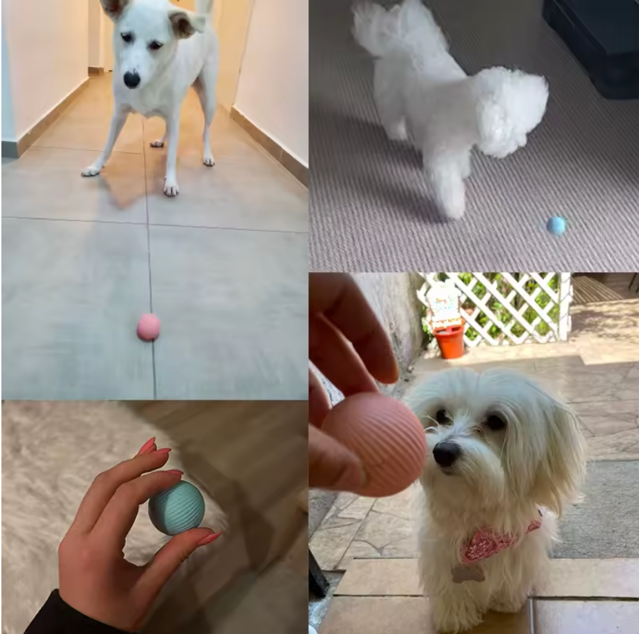 SmartBall® Juguete Para Gato