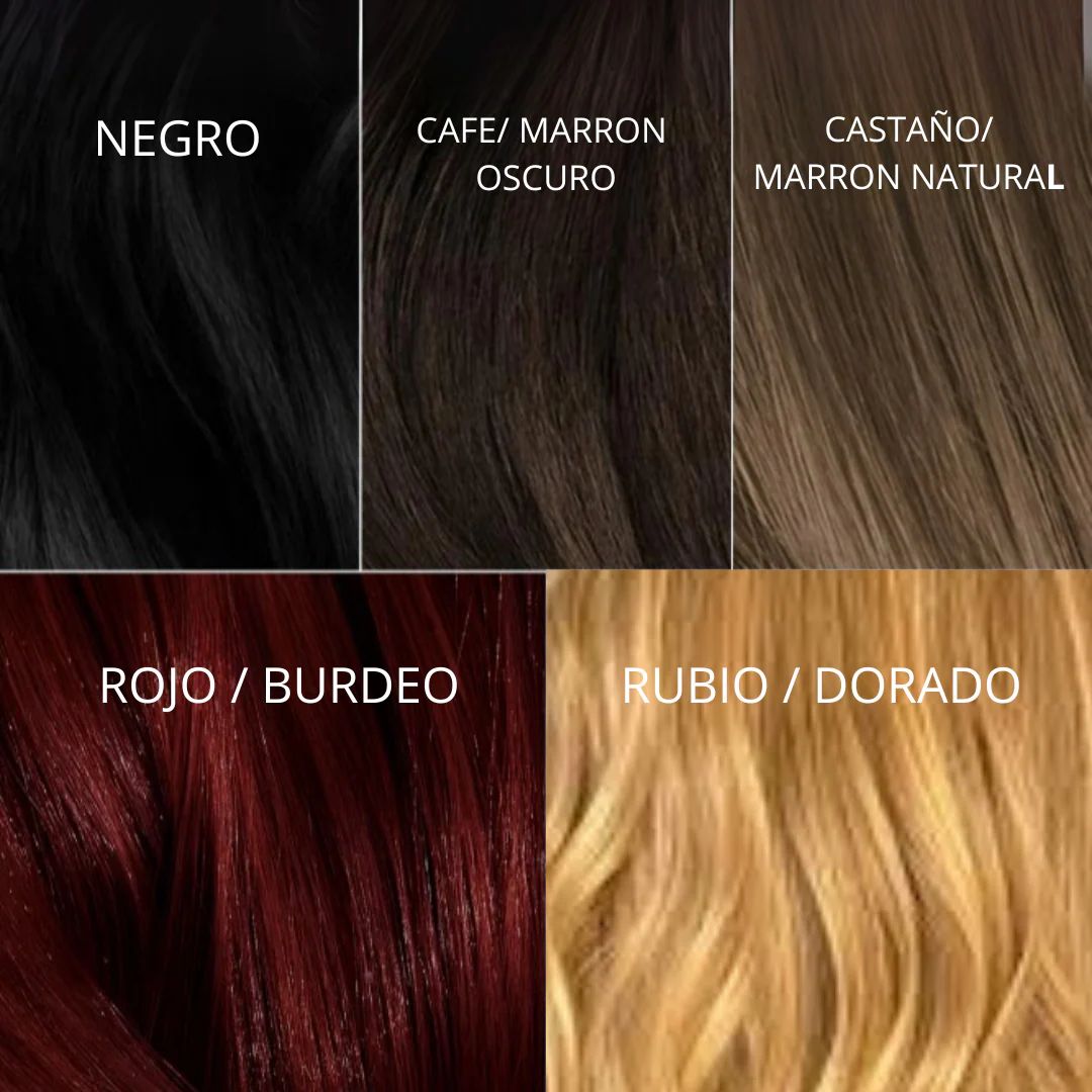 Shampoo Tinte CubRe Canas Disaar