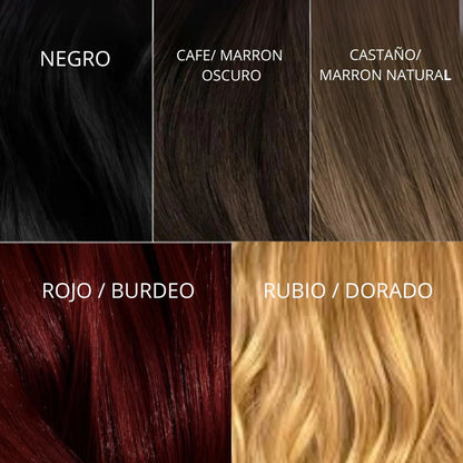 Shampoo Tinte CubRe Canas Disaar