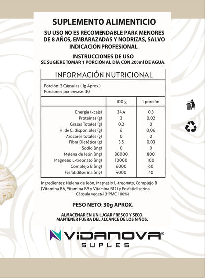 Melena de León Fortificada + L-Treonato de Magnesio + Complejo B + Fosfatidilserina 🧠💥